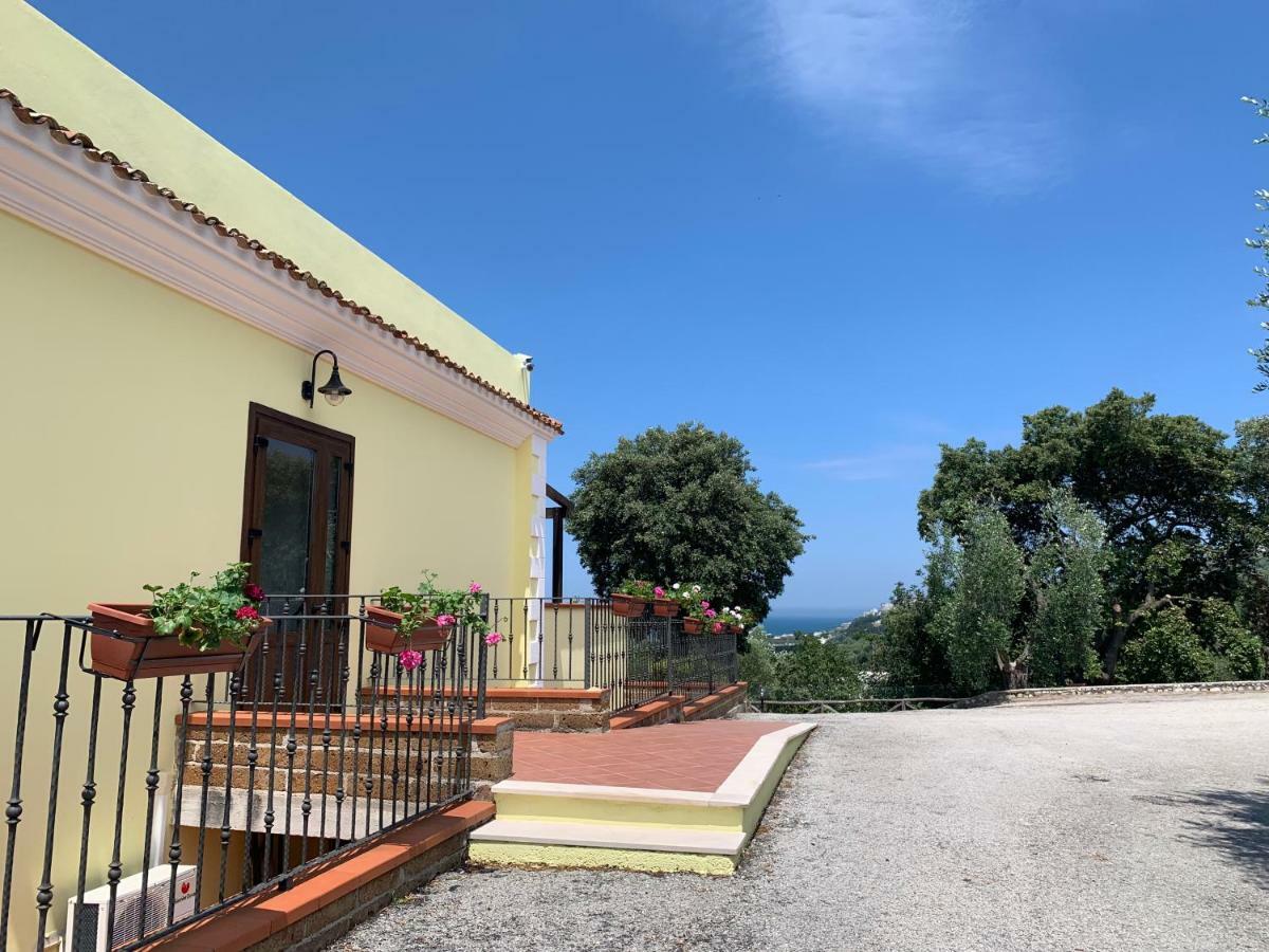 Hostal Parco Dei Limoni Peschici Exterior foto